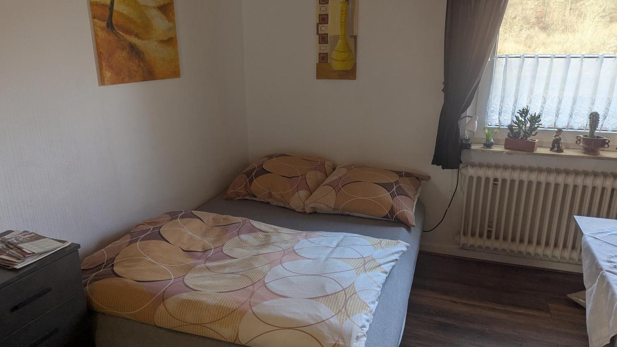 Ferienwohnung Mit Terrasse Fuer 1-4 Personen Altena Εξωτερικό φωτογραφία
